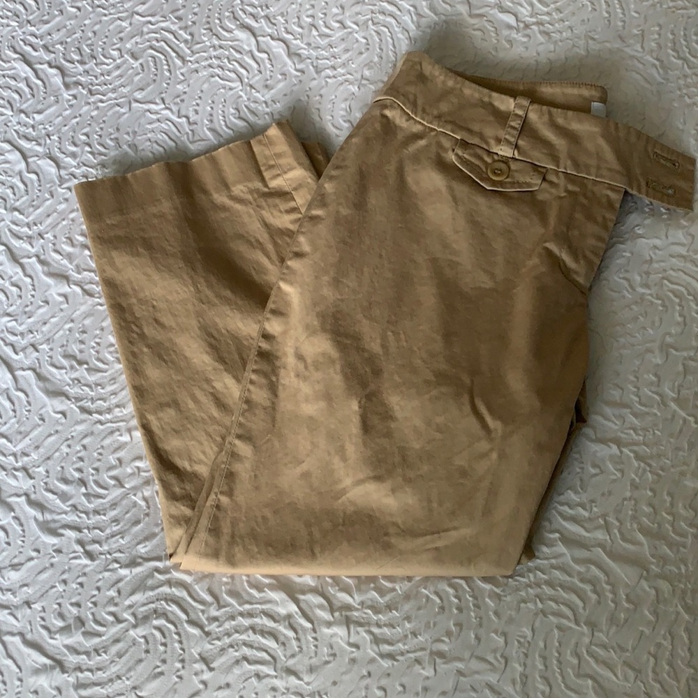 Ann Taylor Loft Marisa crop pants